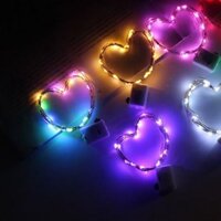 Decor Trang Trí Hoa Khô HOA SAO HỒNG NHẠT HOA SAO TÍM HOA SAO CAM Cành điểm Vàng 10cành LAVENDER NHÁY LED 2M VÀNG