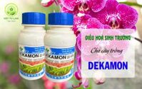 DEKAMON-Điều hòa sinh trưởng cho cây chai 100ml