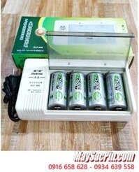 Delipow DLP-808 _Bộ sạc Pin DLP-808 kèm 4 pin sạc D Ansman D5000mAh 1.2v