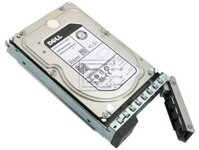 Dell 10TB 7.2K RPM NLSAS 12Gbps 512e 3.5in Hot-plug Hard Drive