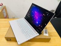 Dell Alienware M17 R3 Core i7-10750H /16GB /256GB /RTX 2060 6GB /17.3″ FHD