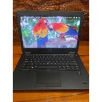 Dell Latitude Core i7 (4x2.6Ghz) / RAM 8G / Card đồ họa Rời 2GB / 14 inch / SSD 256GB