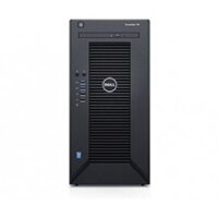 Dell PowerEdge T30 Server