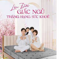 ĐỆM Back Essential SÔNG HỒNG