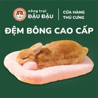 Đệm Bông Cao Cấp Cho Thỏ, Bọ Ú, Chinchilla Mềm Mại Ấm Áp