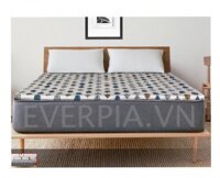 Đệm Bông ép Everon Lite