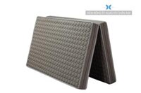 Đệm bông ép gấp 2 trần mút Alias 14F