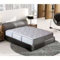Đệm bông ép Sông Hồng Back Essential