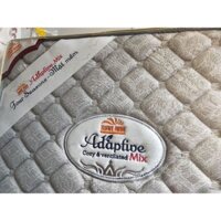 Đệm bông ép trần foam gấp 2 siêu mềm mịn Adaptive hỗ trợ nâng đỡ cột sống tốt nhất 1m6/1m8/2m Tuấn Anh