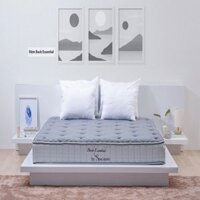 Đệm Bông Tinh Khiết Back Essential Sông Hồng