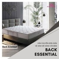 Đệm bông tinh khiết sông hồng cao cấp back essential TH4