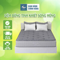 Đệm bông tinh khiết sông hồng cao cấp back essential TH4