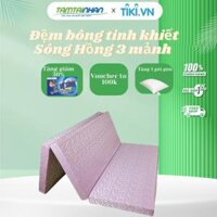 Đệm bông tinh khiết Sông Hồng 3 mảnh gấm - 5cm - 160cm x 200cm