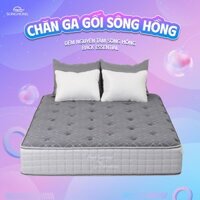 Đệm cao cấp Sông Hồng Back Essential nguyên tấm