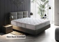 Đệm cao cấp Sông Hồng Back Essential gập 2 (new 2021)