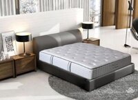 Đệm cao cấp Sông Hồng Back Essential