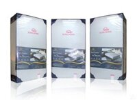 Đệm cao cấp Sông Hồng Back Essential gập 2 new