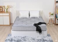 Đệm cao cấp Sông Hồng Back Essential nguyên tấm