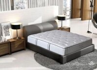 Đệm cao cấp Sông Hồng Back Essential (nguyên tấm)