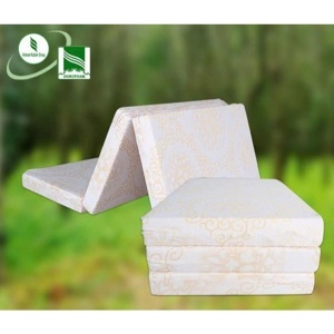 Đệm cao su Đồng Phú gấp 3 100x200x10cm