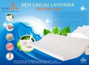 Nệm cao su Everhome Lavender - 160*200*10cm