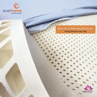Đệm cao su thiên nhiên Everhome Deluxe chính hãng