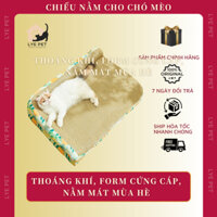 Đệm Cho Chó Mèo, Chiếu nằm mùa Hè hình chữ nhật cho Thú Cưng - Lye Petshop