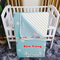 Đệm Cũi Chất Liệu Bông Ép Tự Nhiên Cao Cấp Đệm Trứng Mát Xa Cho Bé Được Cải Tiến Giúp Bé Thư Giãn fv18