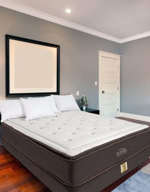 Đệm lò xo Aloe Vera 30cm