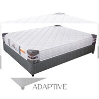 ĐỆM LÒ XO CỐI ADAPTIVE hàng chính hãng Nệm Tuấn Anh - không gây đau lưng