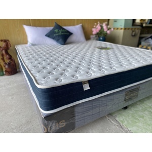 Đệm lò xo D’louis hybrid Eco Infinity 25cm