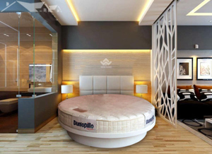 Đệm lò xo Dunlopillo Firmrest Supreme dày 29cm (100x200x29)