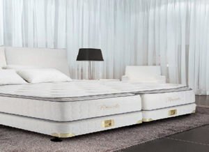 Đệm lò xo Rosa Bella 31cm