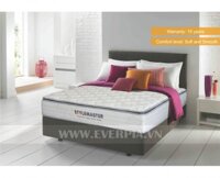 Đệm lò xo túi Everon Stylemaster Protective Spine Ortho Sleep