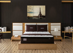 Đệm lò xo Túi Liên Á CoCoon