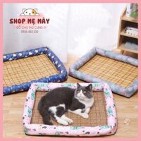 ĐỆM MÙA HÈ MÁT MẺ CHO THÚ CƯNG