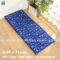 Đệm Nước Làm Mát - Đệm Nước Mát Gia Đình Kích Thước 180x75cm – BIO122