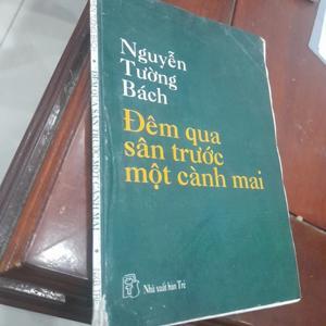 Đêm Qua Sân Trước Một Cành Mai