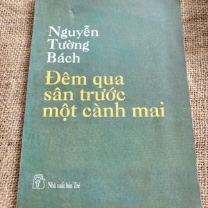 Đêm Qua Sân Trước Một Cành Mai