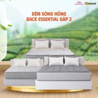 Đệm Sông Hồng Back Essential cao cấp gập 2 (Hot)