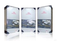 Đệm Sông Hồng Back Essential gập 2 new 2021