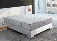 Đệm Sông Hồng cao cấp Back Essential gập 2 new 2021
