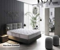 Đệm Sông Hồng cao cấp Back Essential 2 Mảnh