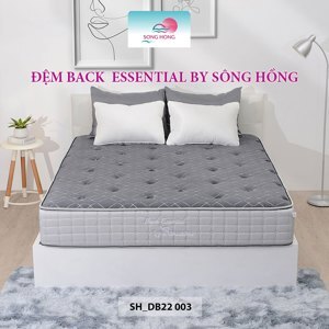 Đệm Sông Hồng Essential 120 x 200