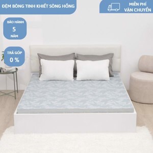 Đệm Sông Hồng vải gấm