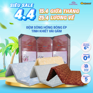 Đệm Sông Hồng vỏ gấm 100x190x5cm