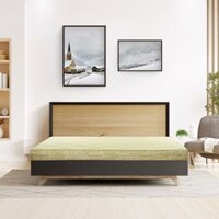 Đệm than hoạt tính Everon