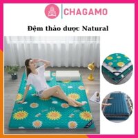 Đệm thảo dược NATURAL Đệm ngủ bông ép chống muỗi cao cấp không kèm gối