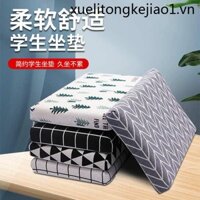 Đệm Xốp Lót Ghế Ngồi Học Sinh Trung Học Hình Chữ Nhật Thoáng Khí
