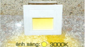 Đèn âm tường Anfaco AFC-009-3W